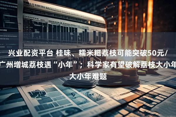 兴业配资平台 桂味、糯米糍荔枝可能突破50元/斤！广州增城荔枝遇“小年”；科学家有望破解荔枝大小年难题